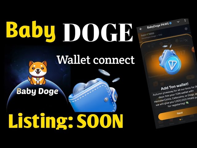 Baby Doge PAWS Airdrop | Baby Doge New Update | Baby Doge Wallet Connect