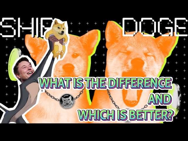 SHIBA INU AND DOGE COIN: BEST-BUY OR OVERRATED ?