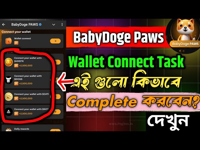 baby doge paws wallet task || hmstr dogs cati not wallet connect |Complete all baby doge wallet task