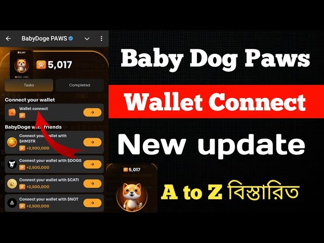 Baby doge Wallet Connect New update | Baby doge paws Wallet Connect Problem | Babydoge paws