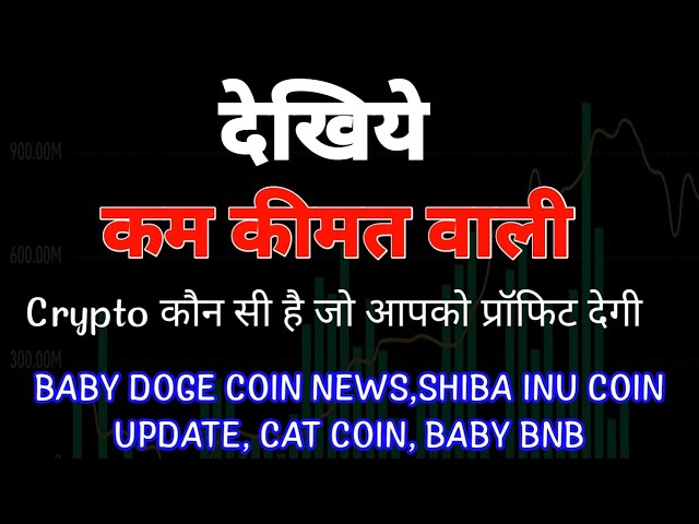 Baby Doge coin news|Shiba inu coin news today|Cat Coin News|Baby BNB coin news|Crypto News Uncut