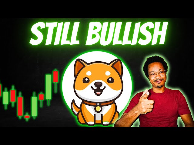 The BABY DOGE Bull Run Is NOT Over Yet!