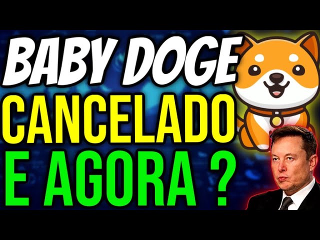 🚨URGENT - UPTOBER CANCELED BABY DOGE NOW!