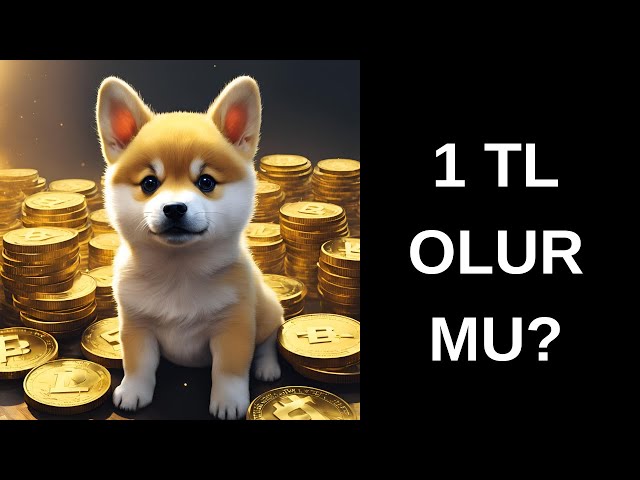 Baby Doge Coin 1 TL Olur mu ?