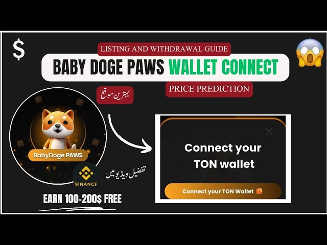 Baby Doge Paws Wallet Connect: Withdrawal, Listing & Price Prediction Update ✅