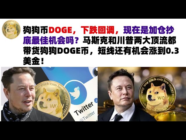 Dogecoin DOGE has fallen and is correcting. Is now the best opportunity to add positions and buy the bottom? Both Musk and Trump are carrying DOGE coins, and there is a chance that the price will rise to 0.3 US dollars in the short term! Musk’s Dogecoin |