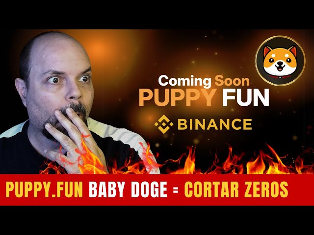 REPORT REVEALS SOMETHING FANTASTIC FOR BABY DOGE