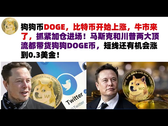 Dogecoin DOGE, Bitcoin starts to rise, the bull market is coming, hurry up and add positions! Both Musk and Trump are carrying DOGE coins, and there is a chance that the price will rise to 0.3 US dollars in the short term! Musk’s Dogecoin | DOGE market an