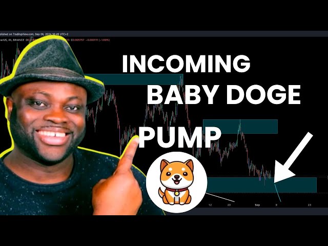 Trading Baby DogeCoin LIVE with the ARMY - Join Us Now!