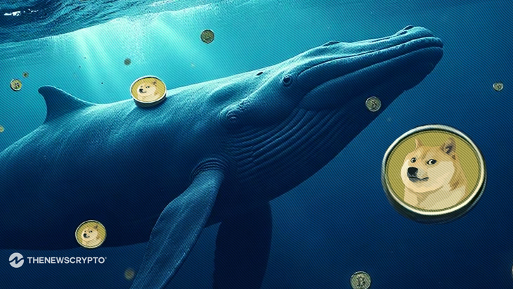 Can DOGE Recover from Market Lows Amid Whale Purchases?