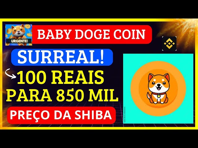 BABY DOGE COIN 🚨URGENT🚨100 REAIS TO 850 THOUSAND REAIS! SHIBA INU PRICE