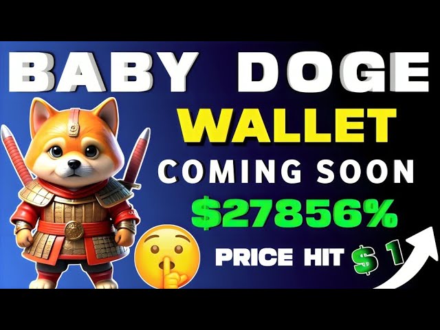 $1 BABY DOGE WALLET | Baby dogecoin news today hindi | Baby doge price prediction |