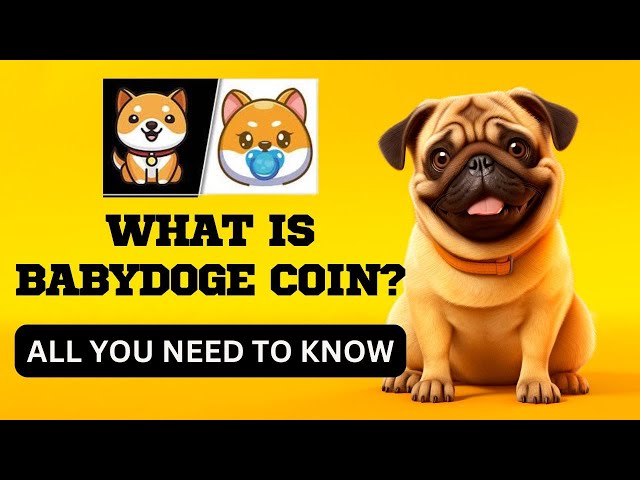 Aperçu de Baby Doge Coin La prochaine pièce Big Meme 🚀🐕 Caractéristiques, liste Binance et plus encore !