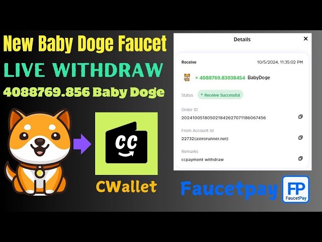 Earn Free Baby Dogecoin 2024 || Live withdraw Baby Doge In CWallet || Live Payments Proof #faucet