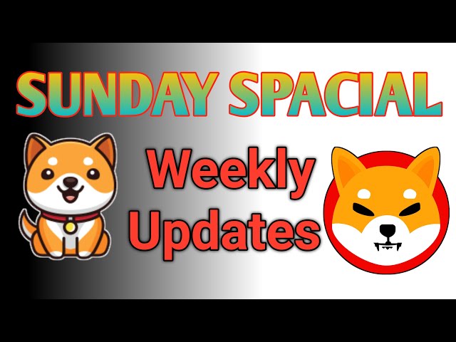 SUNDAY NEWS 🚨 BABY DOGE COIN बड़ी खबर/BABY DOGECOIN NEWS TODAY 💰 BABY DOGECOIN PRICE PREDICTION 2024