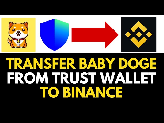 How To Transfer Baby Doge Coin From Trust Wallet To Binance 2024 (EASY)