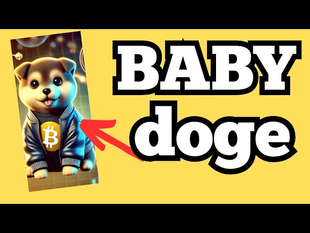 🚀ALERT - BABY DOGE COIN NOW! Is Baby Doge Coin worth it? IS BABY DOGE WORTH IT?