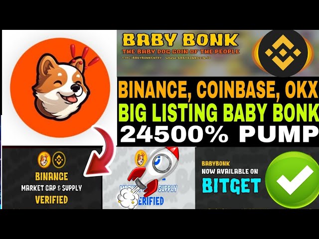 BABYBONK COIN BIG PUMP SOON | BABYBONK खरीदे या HOLD KARE | BABYBONK NEXT 10000X MEMES COIN 2025 😱