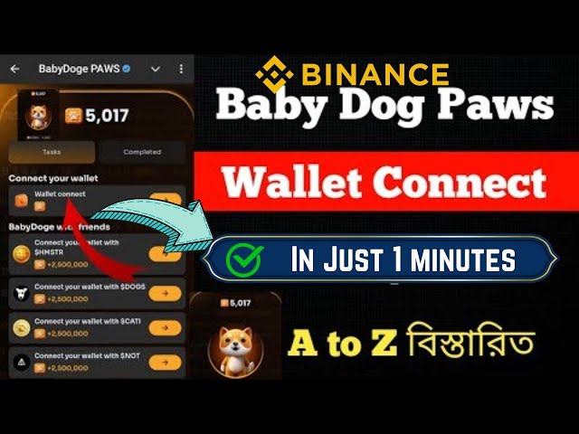 Baby Dogs Paws Wallet Connect Updates | baby doge coin latest news today #babydogs