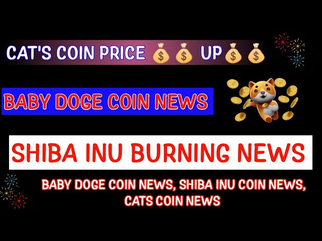 BABY DOGE COIN PRICE UPDATE|SHIBA INU COIN BURNING| CAT COIN NEWS|CATS COIN NEWS|Crypto News Uncut