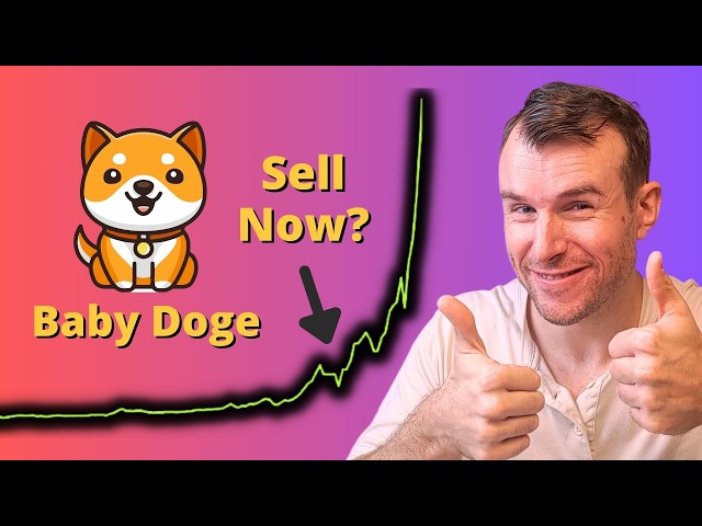 Why Baby Doge is up ⚠️ Crypto Token Analysis