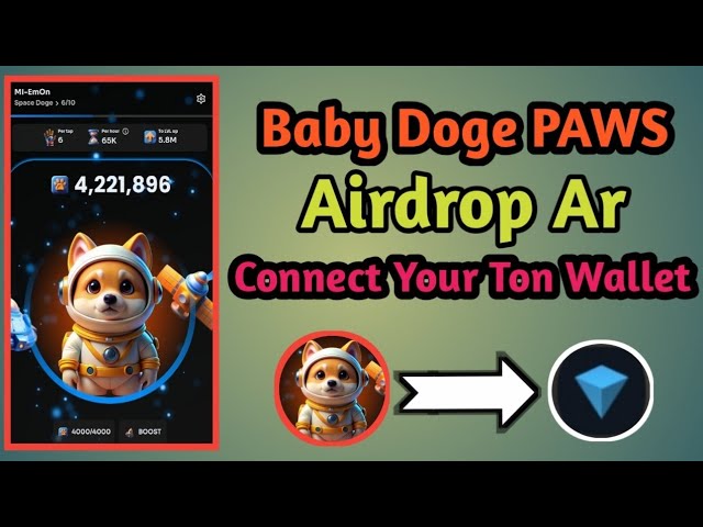 Baby Doge Paws Airdrop Ar wallet connect-Baby Doge Connect Your Ton Wallet-Baby Doge To Ton keeper