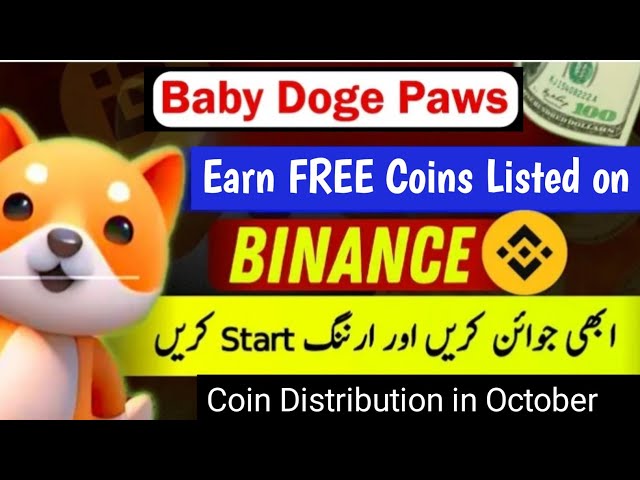 Baby Doge Paw Airdrop Update | Binance Listed Coin Airdrop | Earn Free Crypto | Learn with Asif