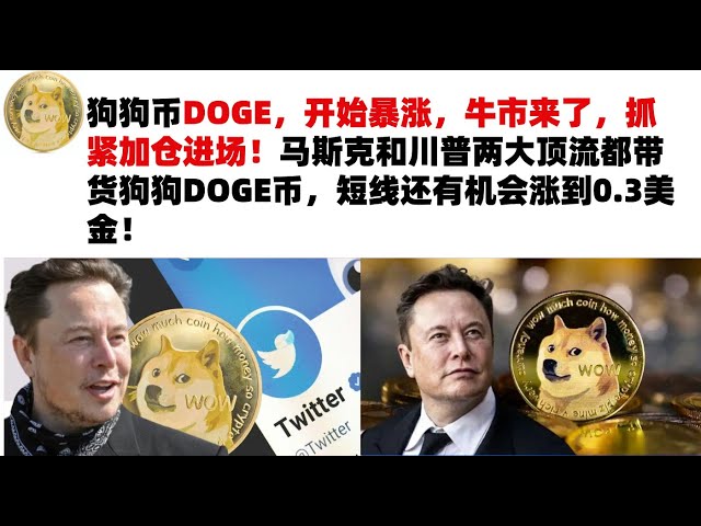 Dogecoin DOGE has begun to skyrocket. The bull market is coming. Hurry up and add positions! Both Musk and Trump are carrying DOGE coins, and there is a chance that the price will rise to 0.3 US dollars in the short term! Musk’s Dogecoin | DOGE market ana