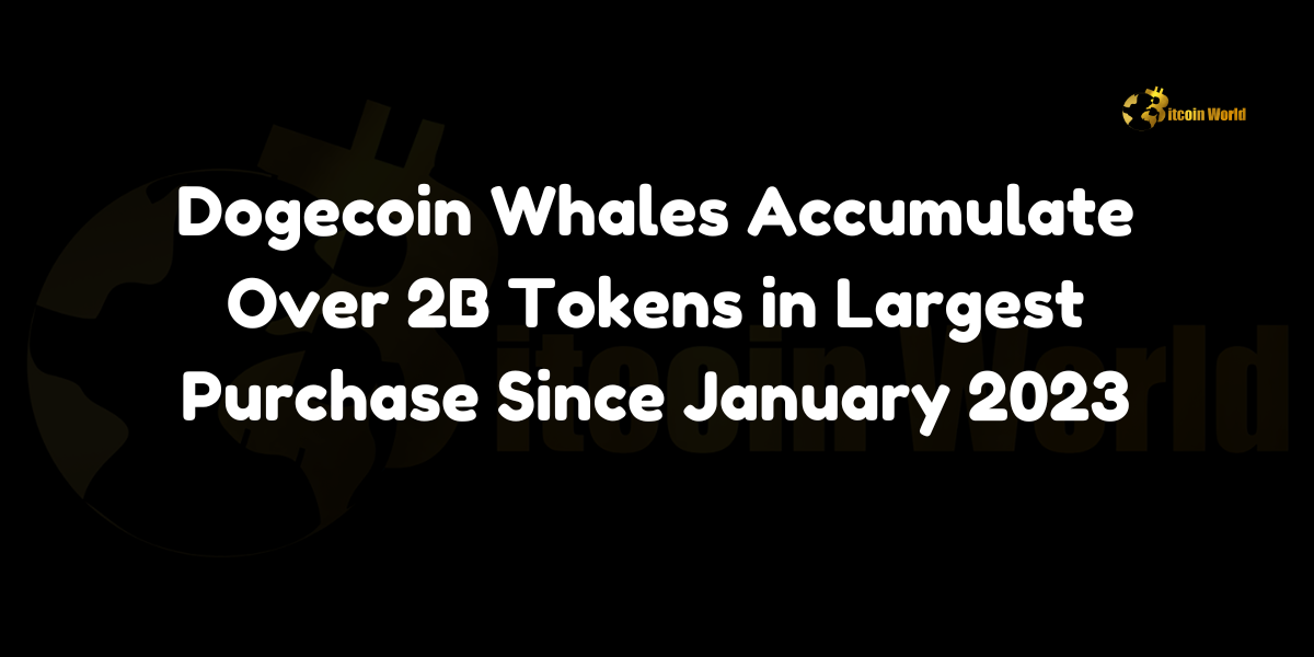 Les baleines Dogecoin continuent de s’accumuler