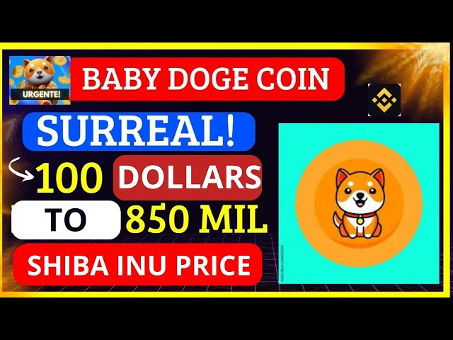 BABY DOGE COIN 🚨URGENT🚨100 DOLLARS TO 850 THOUSAND DOLLARS! SHIBA INU PRICE