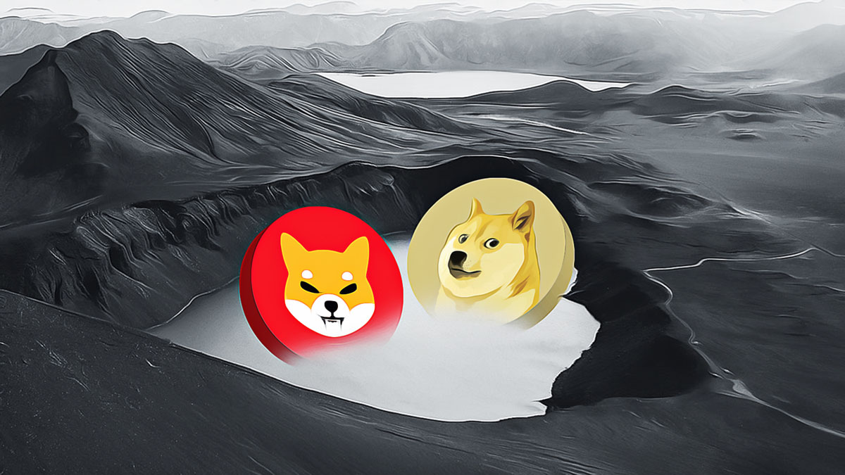 Dogecoin Experiences Spike in Network Activity