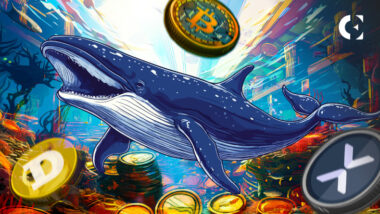 Les crypto-baleines accumulent DOGE, BTC et XRP, défiant le déclin du marché