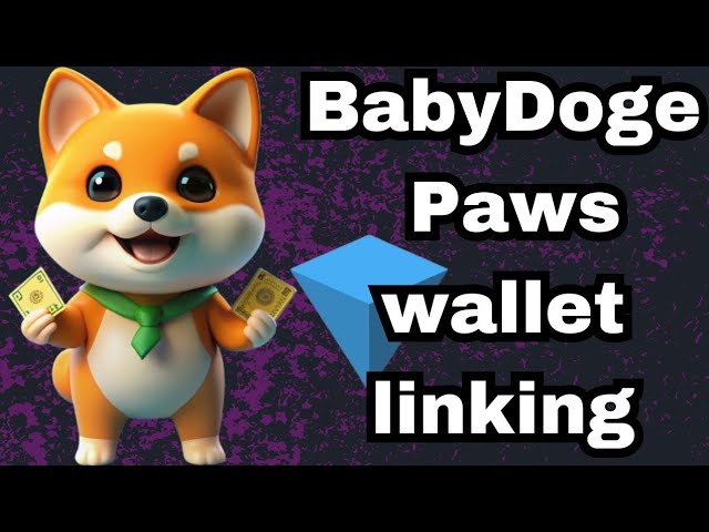 How To Connect Tonkeeper Wallet To BabyDoge Paws