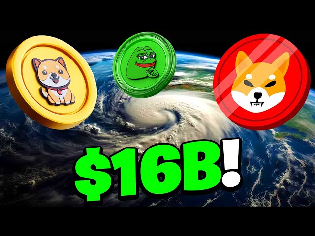 🚨 BABY DOGE COIN AND SHIBA INU HOLDERS! $16B HAS BEEN RELEASED! CAN CHINA AND HURRICANES CHANGE EVERYTHING?