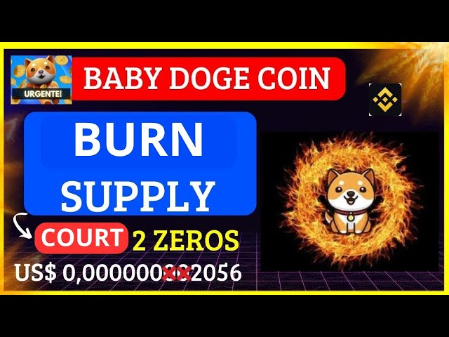 BABY DOGE COIN 🚨URGENT🚨 TOKENS BURN IS GOING TO BE THE BIGGEST OF ALL! +10.000%