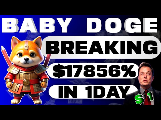 $40 Billion Baby Doge | Baby dogecoin news today hindi | Baby doge price prediction |