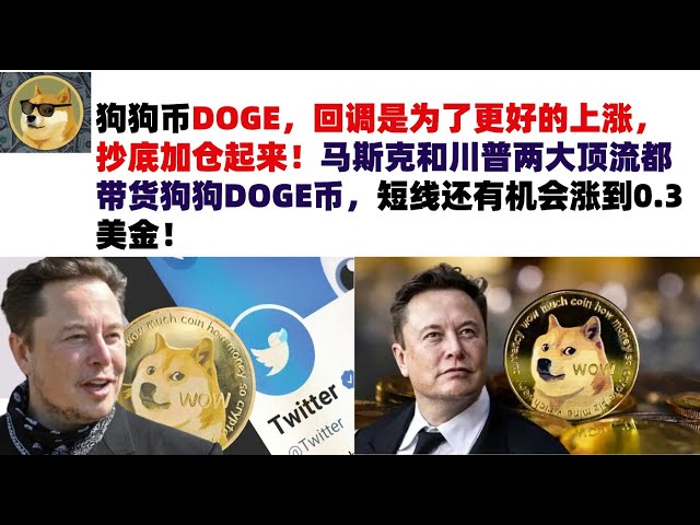 Dogecoin DOGE, the correction is for a better rise, buy the bottom and increase your position! Both Musk and Trump are carrying DOGE coins, and there is a chance that the price will rise to 0.3 US dollars in the short term! Musk’s Dogecoin | DOGE market a