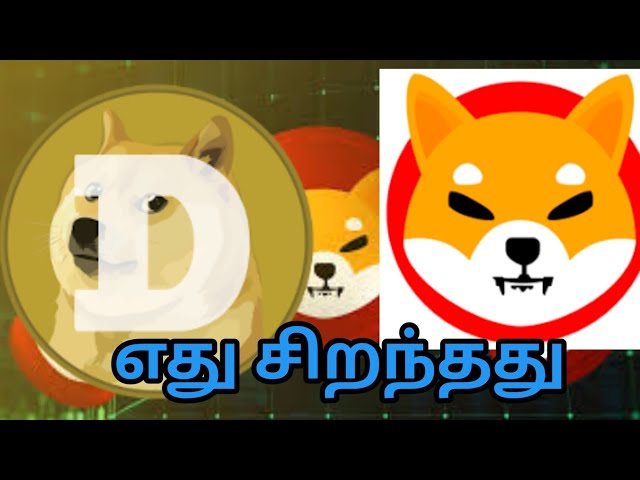 shib coin and doge coin best investment / how to  earnings in Crypto currency trading/ self Opinion