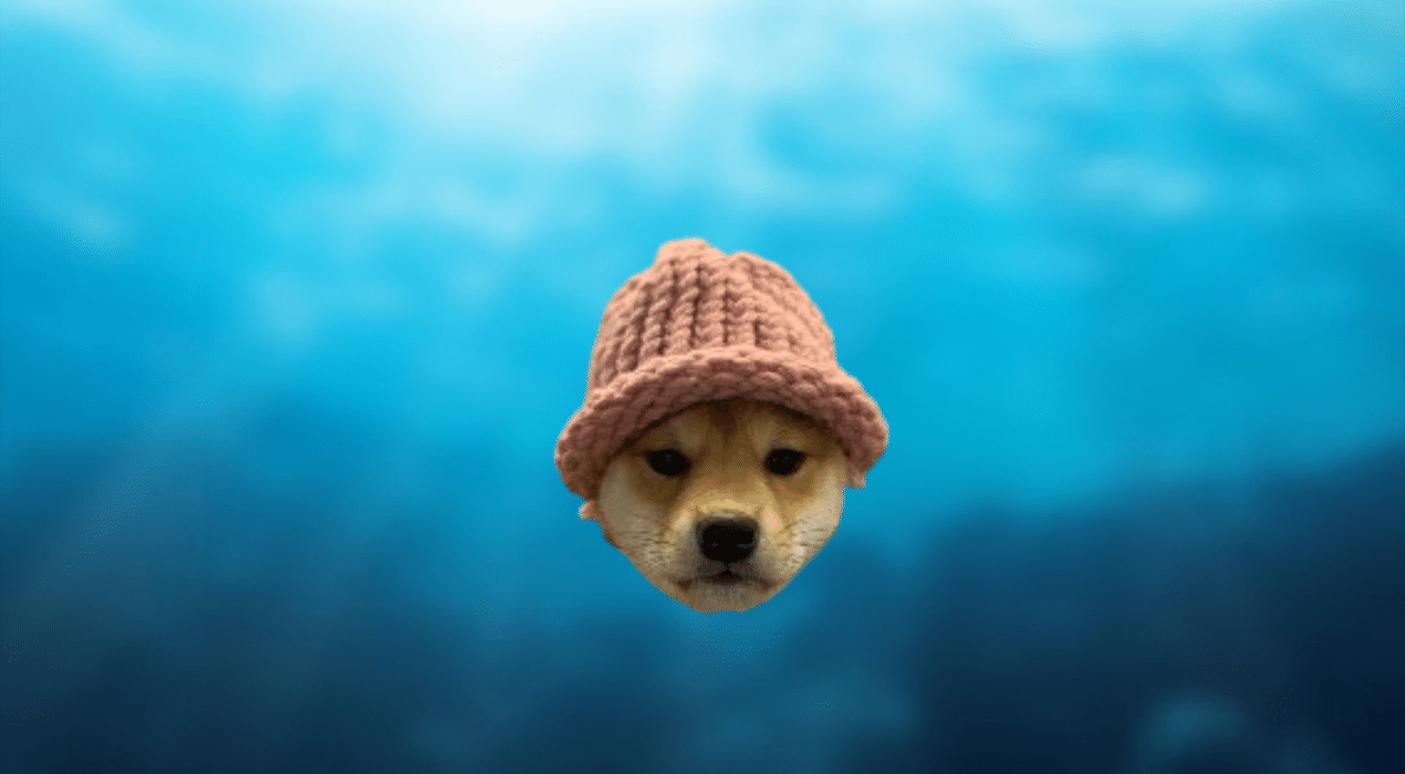 Dogwifhat Price Plunges 6% As This New Vote-To-Earn Meme Coin Rival Charges Towards $1 Million In Presale