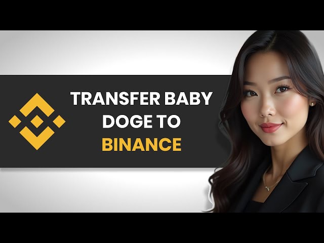 HOW TO QUICKLY TRANSFER BABY DOGE COIN TO BINANCE (FULL GUIDE)