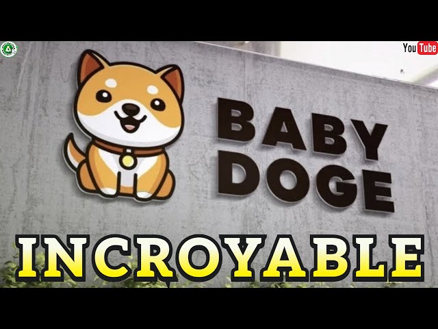 INCREDIBLE BABYDOGE CORNER