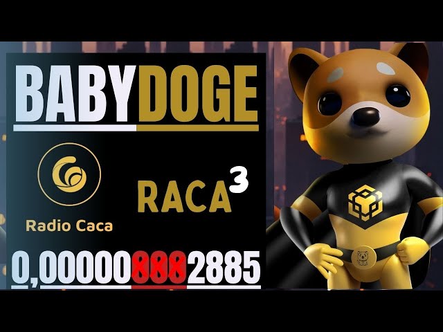 🔥BABY DOGE COIN // RADIO CACA WITH NEW GAME AND MUCH MORE🔥#babydogecoin #babydoge #radiocaca #raca