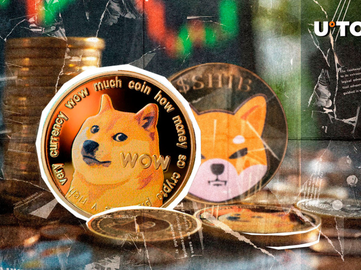 Dogecoin이 SHIB 및 PEPE에 대한 트레이더 챔피언으로 등장: 보고서