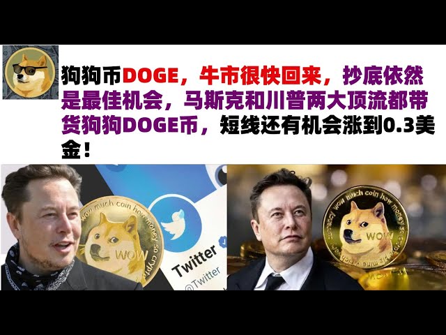 Dogecoin DOGE, the bull market will soon return, and bargain hunting is still the best opportunity. Musk and Trump, the two top figures, are carrying Dogecoin DOGE, and there is a chance that it will rise to 0.3 US dollars in the short term! Musk’s Dogeco