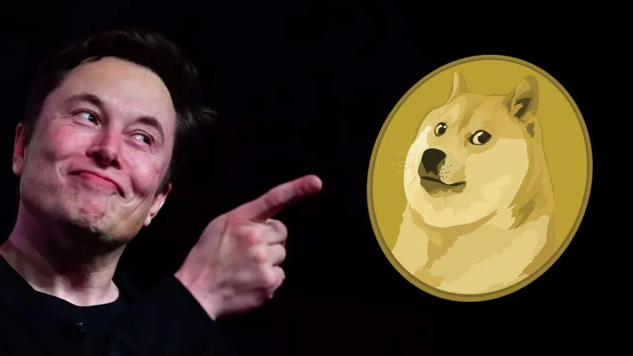 Le Dogecoin (DOGE) préféré d’Elon Musk est un énorme succès ! Nettement meilleur que SHIB et les autres concurrents !