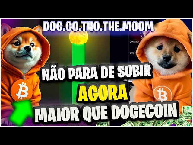 $1.00 DOG GO THO THE MOON COINBASE LEONIDAS WARNS Greater Than Doge coin