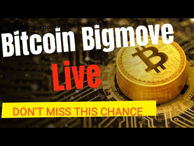 Btc live trading today for beginners||Baby doge coin