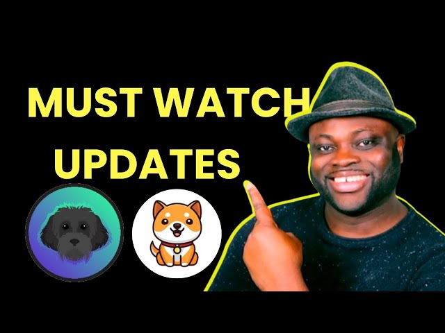 Baby Doge and Myro Coin EXPERT Reveals Shocking News Update!