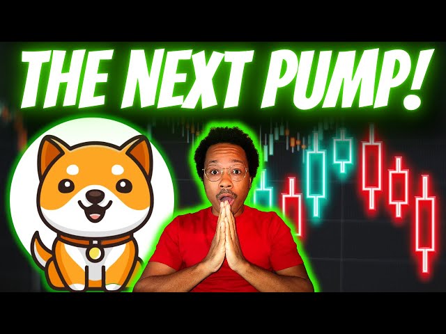 BABY DOGE ARMY: The Next PUMP Could Be Coming SOON