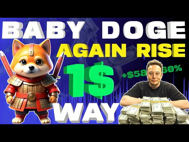 $1 Way +$270898% | Baby dogecoin news today hindi | Baby doge price prediction |